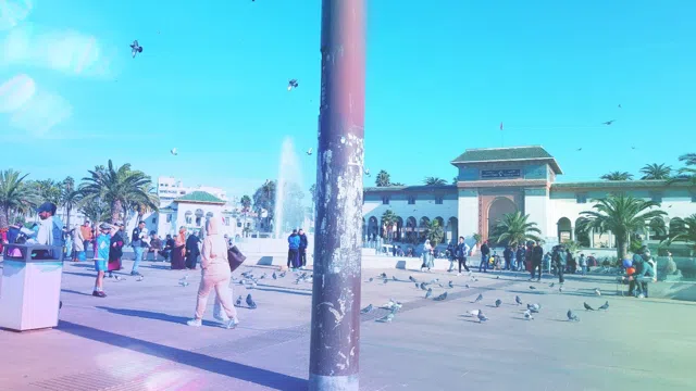 Pigeons, Palms and Art Deco at Casablanca's Place Mohammed V